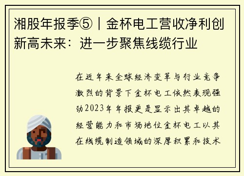 湘股年报季⑤｜金杯电工营收净利创新高未来：进一步聚焦线缆行业