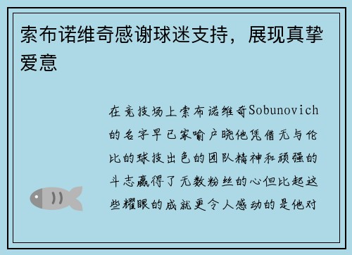 索布诺维奇感谢球迷支持，展现真挚爱意