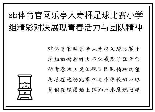 sb体育官网乐亭人寿杯足球比赛小学组精彩对决展现青春活力与团队精神
